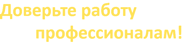 Доверьте работу профессионалам!